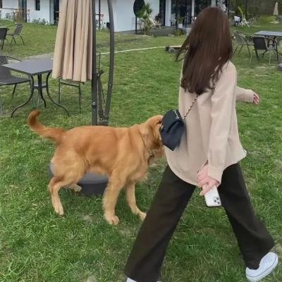 我的儿子约翰